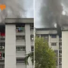 Firefighters enter Pasir Ris flat to extinguish fire