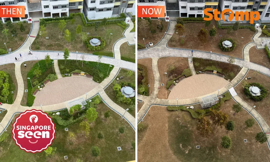 Resident laments Tampines GreenCourt estate conditions
