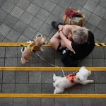 Keeping Singapore rabies-free: What pet owners must know