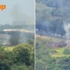 Seletar vegetation fire alarms nearby resident