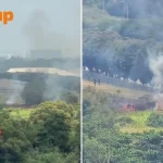 Seletar vegetation fire alarms nearby resident