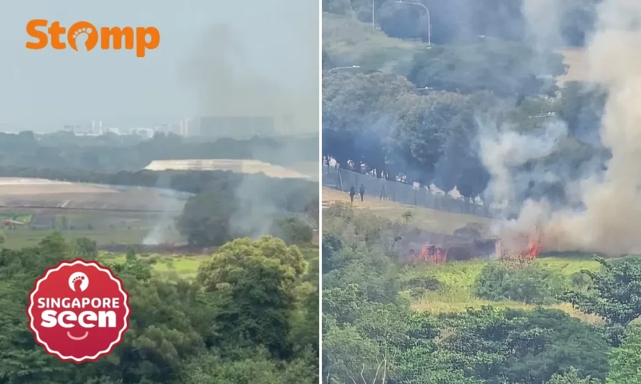 Seletar vegetation fire alarms nearby resident Seletar vegetation fire alarms nearby resident