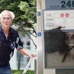 Contractor jailed for spray-painting ads at BTO estates