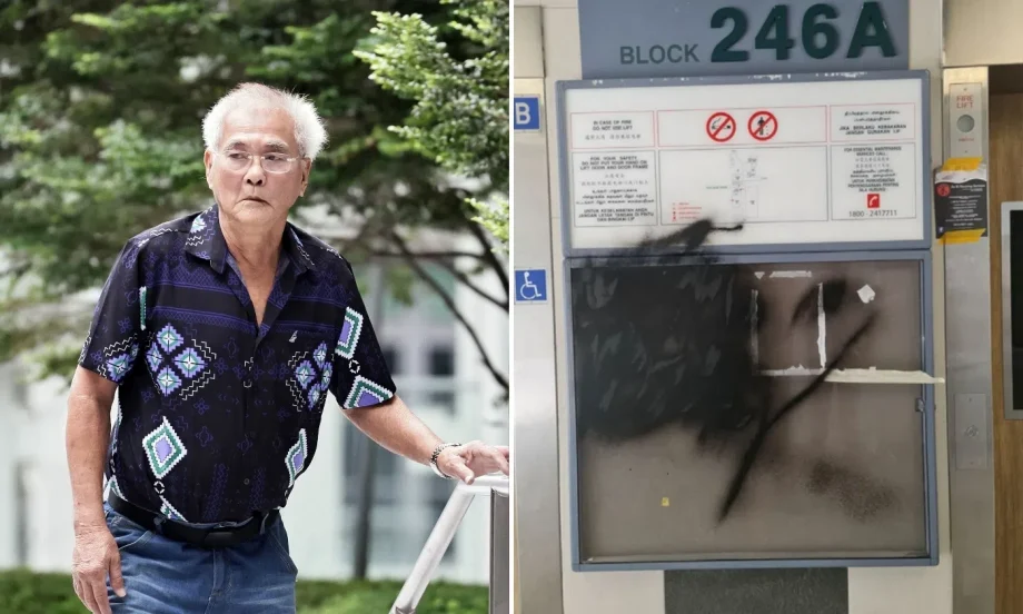 Contractor jailed for spray-painting ads at BTO estates Contractor jailed for spray-painting ads at BTO estates