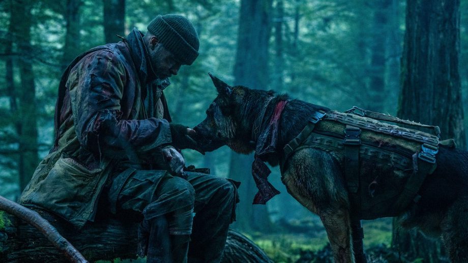 Brad Pitt Survival Movie With Dog