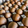 US eggs are back in Singapore after 20 years — at up to S.80 a dozen