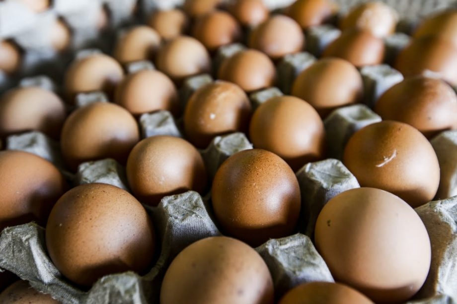 US eggs are back in Singapore after 20 years — at up to S.80 a dozen US eggs are back in Singapore after 20 years — at up to S.80 a dozen
