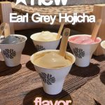 @meiscrochet Trying TOFU gelato!? The Earl Gray Hojicha was SO GOOD!! I’m surpri…