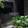 @elliez.bellie you, me, zen Japanese garden, and Japanese soup curry?? Yes pleas…