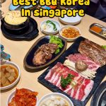 @trinhtrinhsingapore BBQ hàn quốc ngon giá hợp lý tại singapore  #singaporelife …