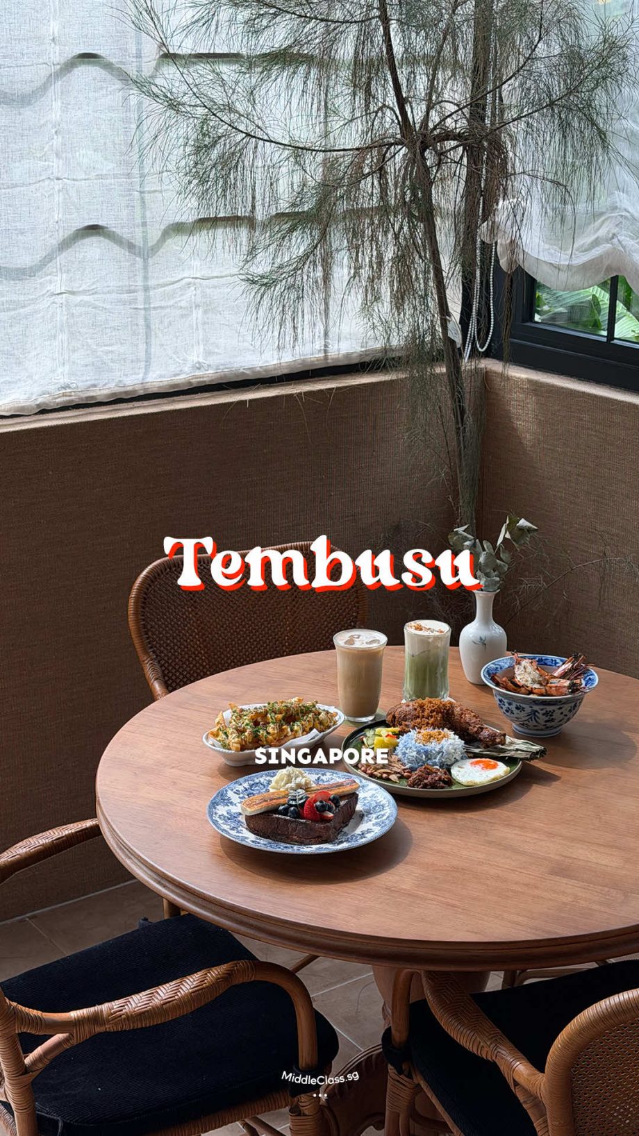 @middleclass.sg This pet-friendly cafe is AIR CONDITIONED (yes your pets can now… @middleclass.sg This pet-friendly cafe is AIR CONDITIONED (yes your pets can now…