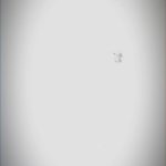 People On TikTok