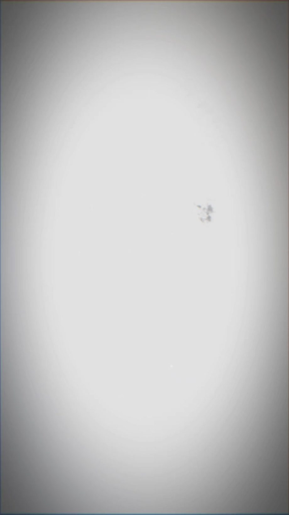 People On TikTok