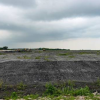 Singapore burns its garbage and dumps the ash into the sea; how a 350-hectare island became a wildlife haven