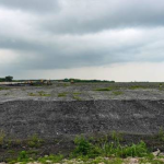 Singapore burns its garbage and dumps the ash into the sea; how a 350-hectare island became a wildlife haven