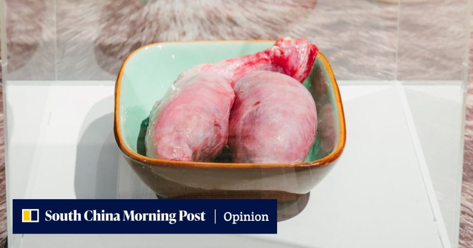 Opinion | Disgusting Food Museum’s Hong Kong show has bull testicles and more. Is it in good taste?