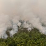 Indonesia’s battle against forest fires hampered by smokes, swamps