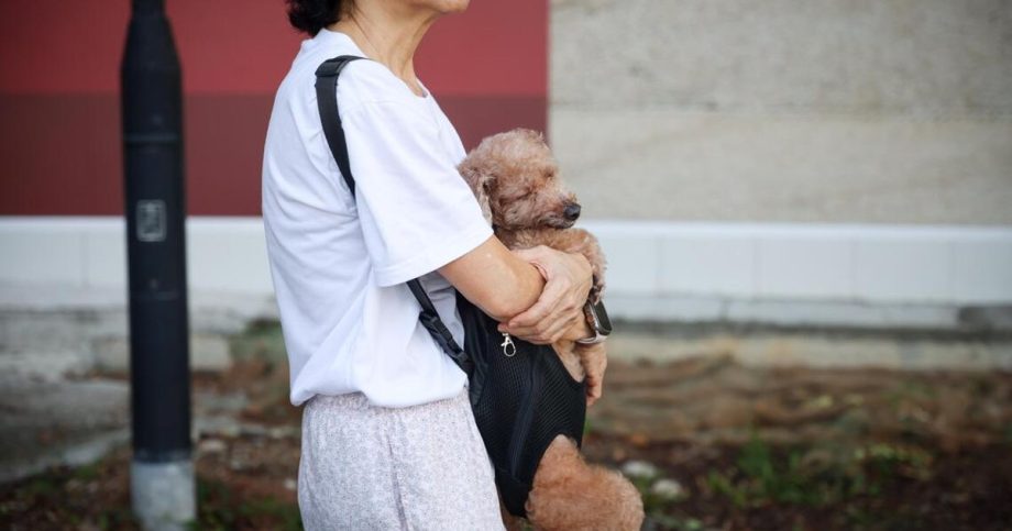 Middle-aged women in S’pore anxiety survey findings Middle-aged women in S’pore anxiety survey findings