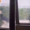 Resident spots hornbill twice outside Tampines flat window