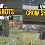 Crowd gathers in Aljunied after gunshots heard, discovers crow culling operation: ‘Felt like a movie scene’, Singapore News