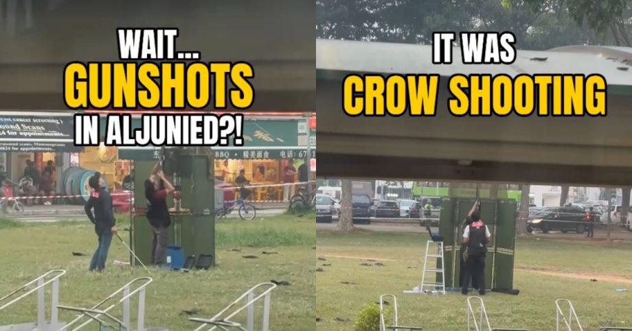 Crowd gathers in Aljunied after gunshots heard, discovers crow culling operation: ‘Felt like a movie scene’, Singapore News Crowd gathers in Aljunied after gunshots heard, discovers crow culling operation: ‘Felt like a movie scene’, Singapore News