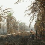 Singapore appreciates efforts by Prabowo and his administration to solve haze issue: Shanmugam