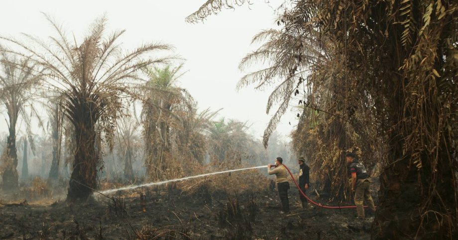Singapore appreciates efforts by Prabowo and his administration to solve haze issue: Shanmugam
