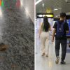 Man finds what looks like faeces at Outram Park MRT