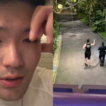 Chinese tourist chases down man who allegedly stole his Louis Vuitton bag at Gardens by the Bay, Singapore News