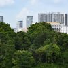 More greenery retained at Maju Forest and Gillman Barracks