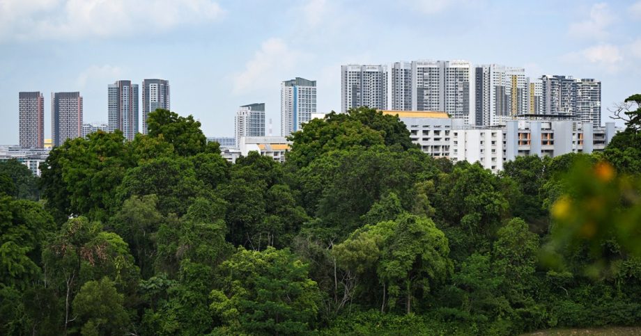 More greenery retained at Maju Forest and Gillman Barracks More greenery retained at Maju Forest and Gillman Barracks