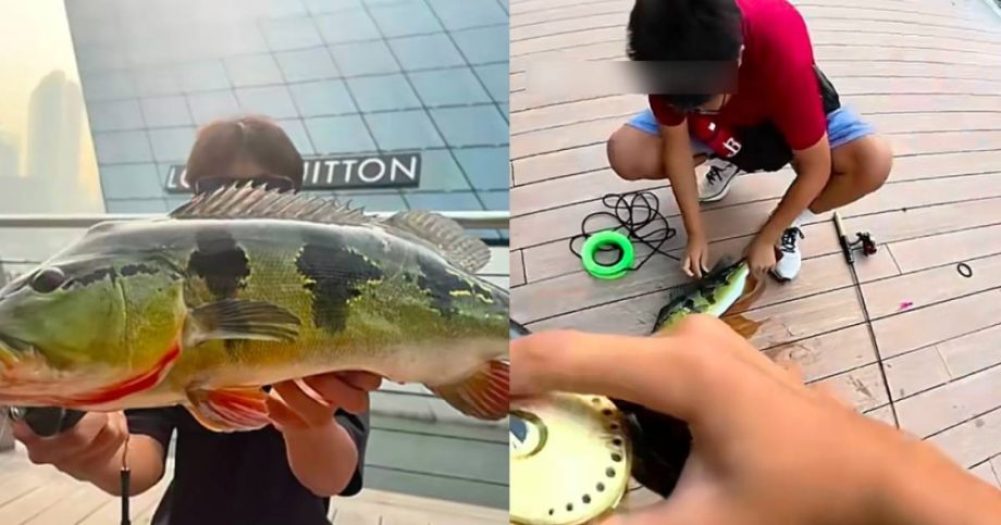 Singapore national water agency investigates TikTok clip of youths fishing at Marina Bay Sands