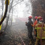 Indonesia testing Brazilian gel to fight forest fires