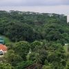 HDB cuts 1,200 planned homes, retains more greenery at Maju Forest and Gillman Barracks after public feedback