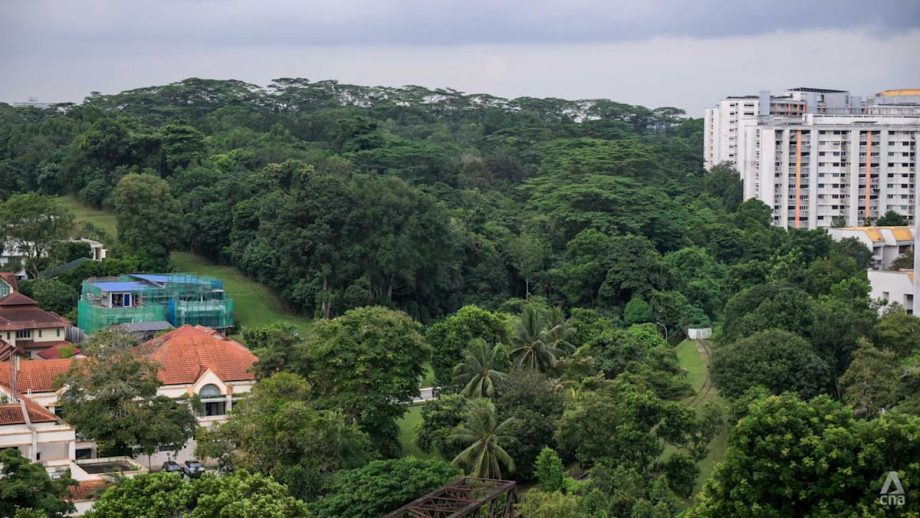HDB cuts 1,200 planned homes, retains more greenery at Maju Forest and Gillman Barracks after public feedback HDB cuts 1,200 planned homes, retains more greenery at Maju Forest and Gillman Barracks after public feedback