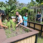 500 new allotment gardening plots in Singapore open for application