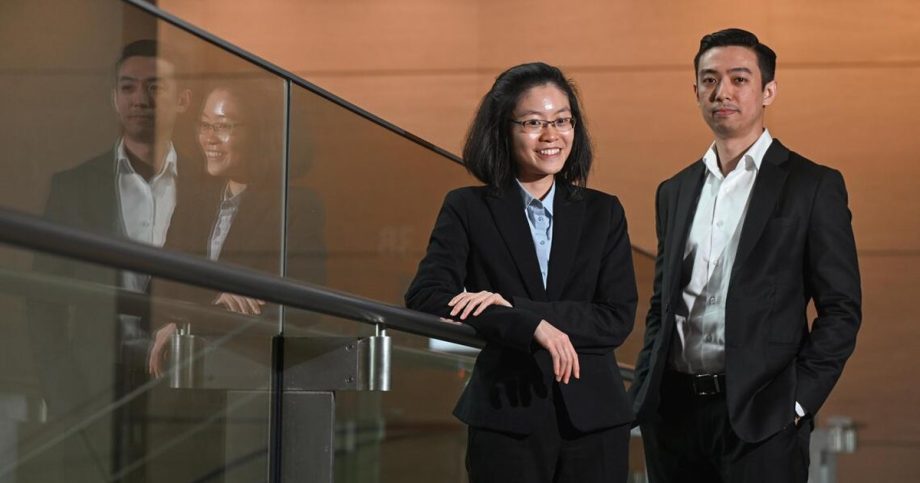 Promising young lawyers assist courts in novel cases with independent viewpoints