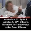 An Australian man, 52, has been jailed for five months and six weeks and fined S…