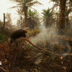 ‘It smells like charred earth’: BBC at Indonesia fire epicentre causing Singapore and Malaysia haze crisis