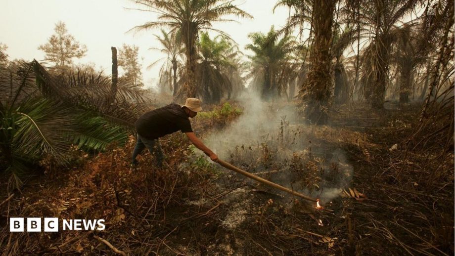 ‘It smells like charred earth’: BBC at Indonesia fire epicentre causing Singapore and Malaysia haze crisis