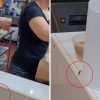 SFA investigates cockroaches at Yishun food stall