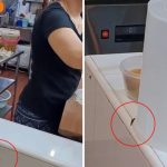 SFA investigates cockroaches at Yishun food stall