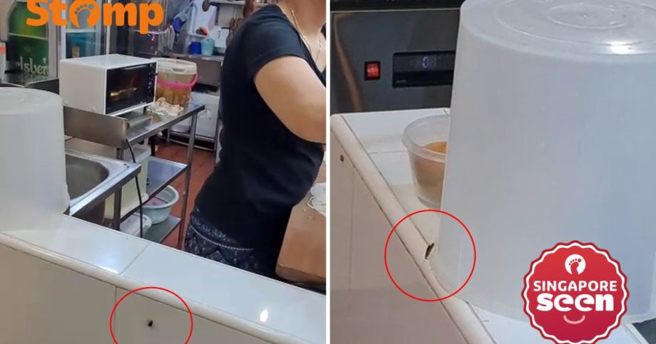 SFA investigates cockroaches at Yishun food stall