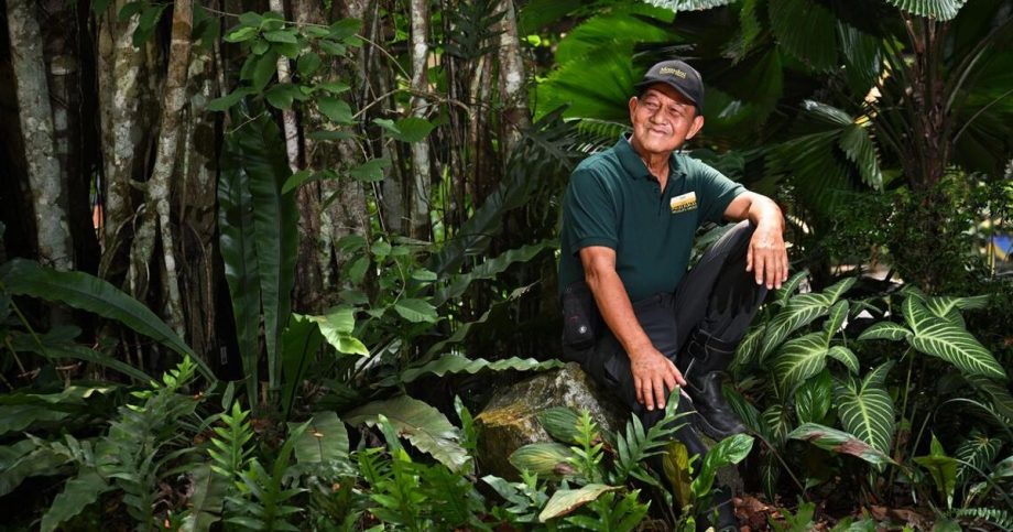 Singapore seniors work longer for income and purpose