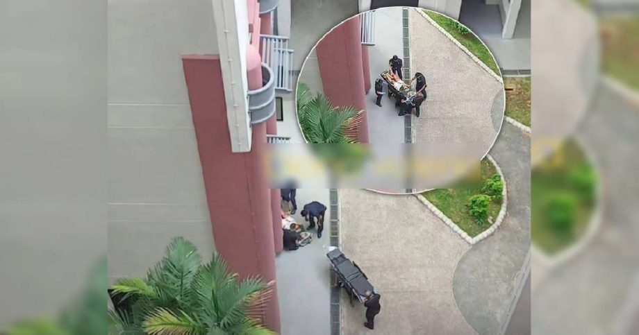 Woman taken to hospital after alleged fall from Sengkang HDB block, Singapore News Woman taken to hospital after alleged fall from Sengkang HDB block, Singapore News