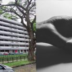 Man, 26, dies after being found motionless at foot of Toa Payoh industrial building, Singapore News