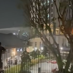 Tree outside Margaret Drive Hawker Centre catches fire, no injuries reported, Singapore News