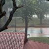 Thundery showers expected over many areas of Singapore on Oct 24 afternoon, Singapore News