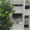 Man, 51, found dead at 2nd-floor staircase landing of Yishun HDB block , Singapore News