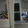 Community cat cruelty in Bukit Batok East